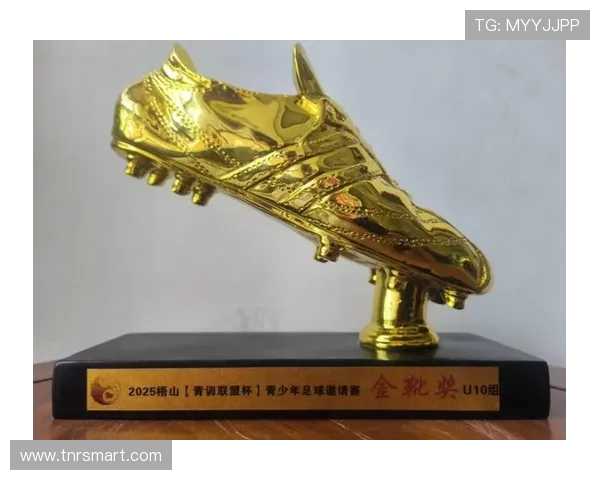 球星经典足球衣展现绿茵风采与激情岁月的独特魅力 球星经典足球衣展现绿茵风采与激情岁月的独特魅力